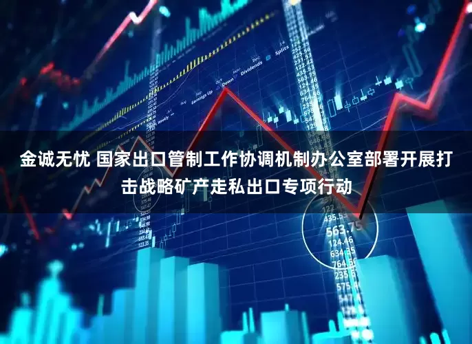 金诚无忧 国家出口管制工作协调机制办公室部署开展打击战略矿产走私出口专项行动