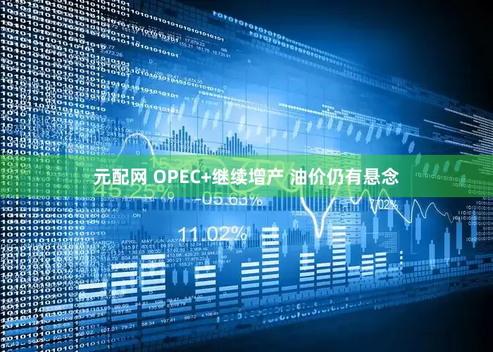 元配网 OPEC+继续增产 油价仍有悬念
