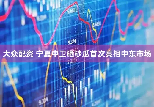 大众配资 宁夏中卫硒砂瓜首次亮相中东市场
