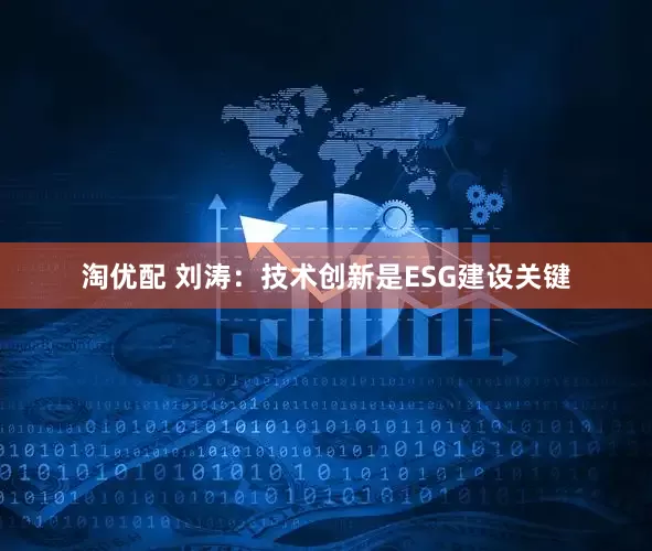 淘优配 刘涛：技术创新是ESG建设关键